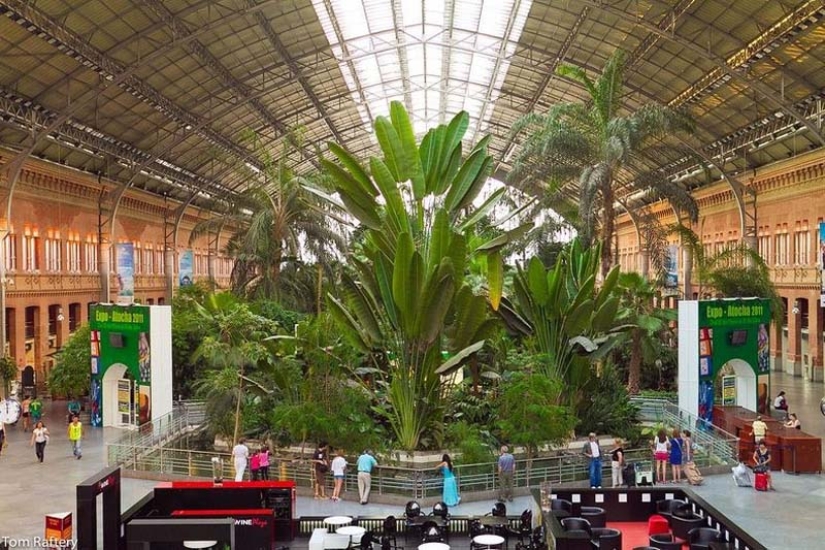 Botanical Garden at the Atocha Train Station in Madrid Botanical Garden at the Atocha Train Station in Madrid