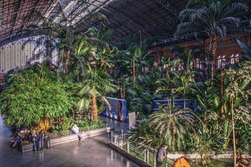 Botanical Garden at the Atocha Train Station in Madrid Botanical Garden at the Atocha Train Station in Madrid