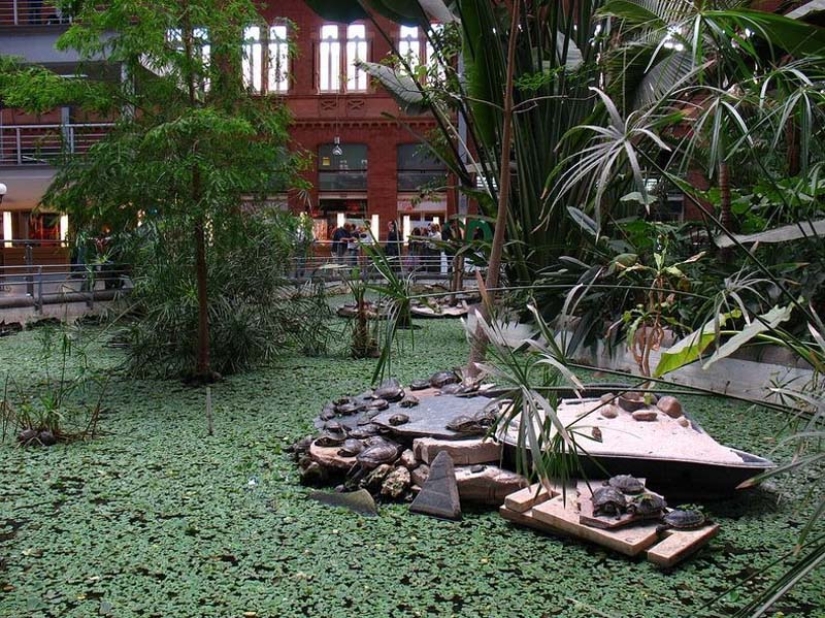 Botanical Garden at the Atocha Train Station in Madrid Botanical Garden at the Atocha Train Station in Madrid