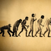 Brain shrinkage and 4 more proofs that Man continues to evolve Brain shrinkage and 4 more proofs that Man continues to evolve