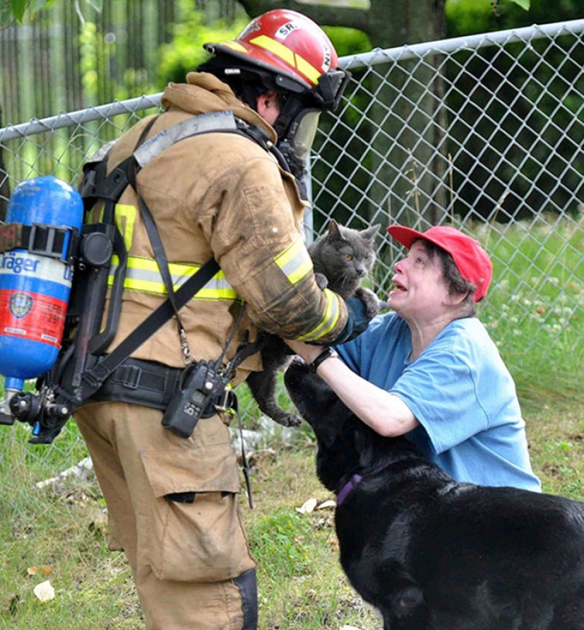 Brave firefighters who risked their lives to save animals