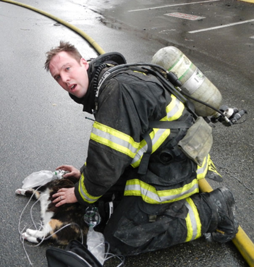 Brave firefighters who risked their lives to save animals