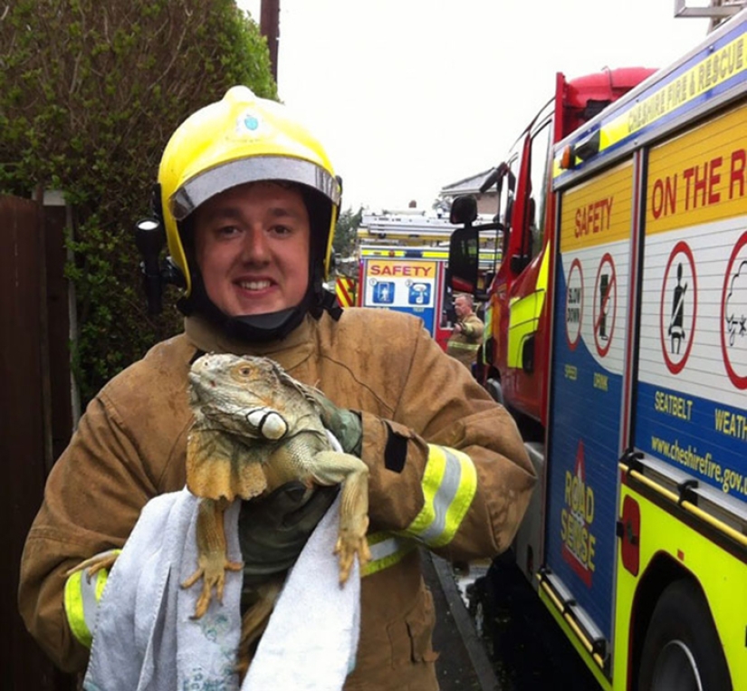 Brave firefighters who risked their lives to save animals