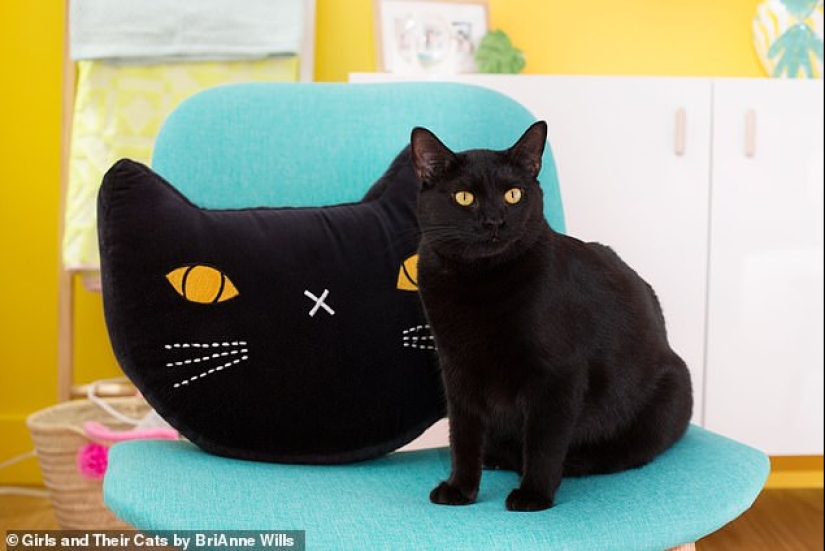 Bueno y esponjoso: el estudio demuestra que el gato de la señora no es sola histérica Bueno y esponjoso: el estudio demuestra que el gato de la señora no es sola histérica