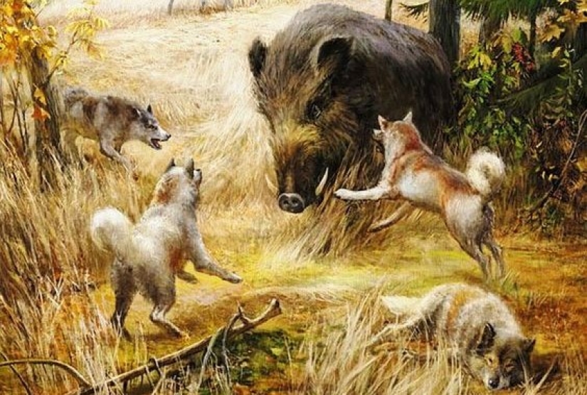 Bug Polkan and Fido: how did the most popular Russian dog names