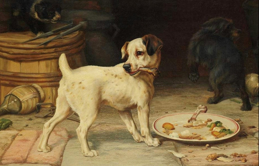 Bug Polkan and Fido: how did the most popular Russian dog names