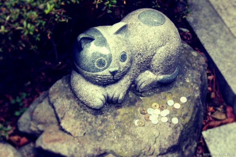 Bury Dinghy with my grandmother. The Japanese tradition of burial of Pets shocking Bury Dinghy with my grandmother. The Japanese tradition of burial of Pets shocking