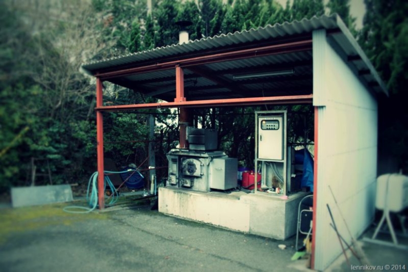 Bury Dinghy with my grandmother. The Japanese tradition of burial of Pets shocking Bury Dinghy with my grandmother. The Japanese tradition of burial of Pets shocking