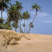 Busca a una mujer: las modelos desnudas se mezclan con el paisaje Busca a una mujer: las modelos desnudas se mezclan con el paisaje