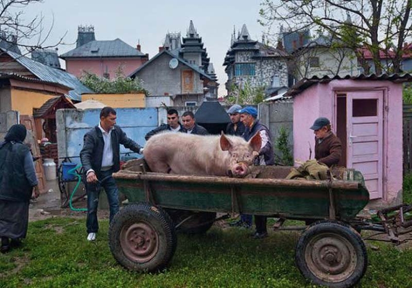 Buzescu es la capital de los gitanos millonarios Buzescu es la capital de los gitanos millonarios