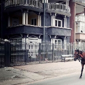 Buzescu is the capital of Gypsy millionaires