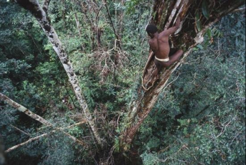 Canibalismo moderno: 4 lugares en la Tierra donde la gente todavía come gente Canibalismo moderno: 4 lugares en la Tierra donde la gente todavía come gente