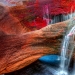 Canio Cristales-el río más hermoso de la Tierra Canio Cristales-el río más hermoso de la Tierra