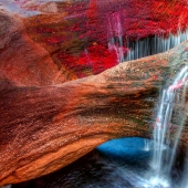 Canio Cristales — the most beautiful river on Earth Canio Cristales — the most beautiful river on Earth