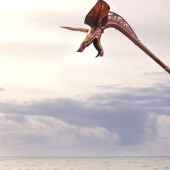 Carnyx - the psychological weapon of the ancient Celts Carnyx - the psychological weapon of the ancient Celts