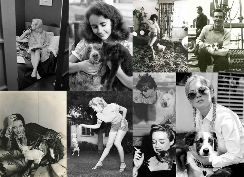 Celebrities with their four-legged pets