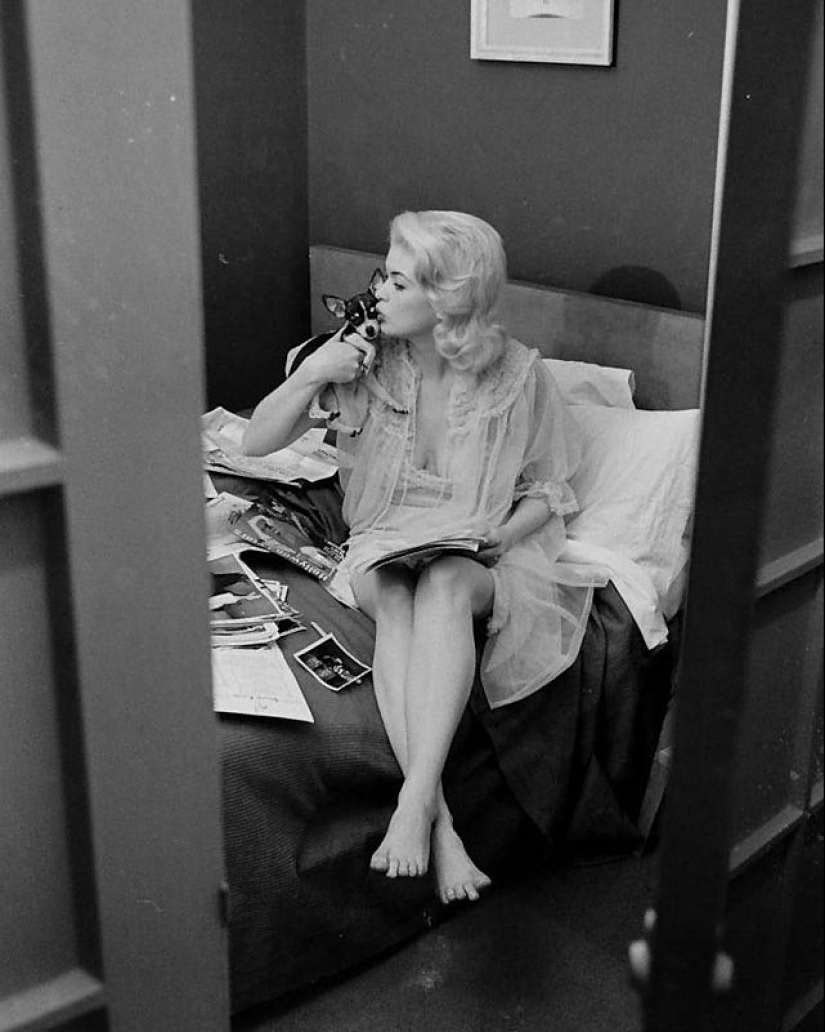 Celebrities with their four-legged pets