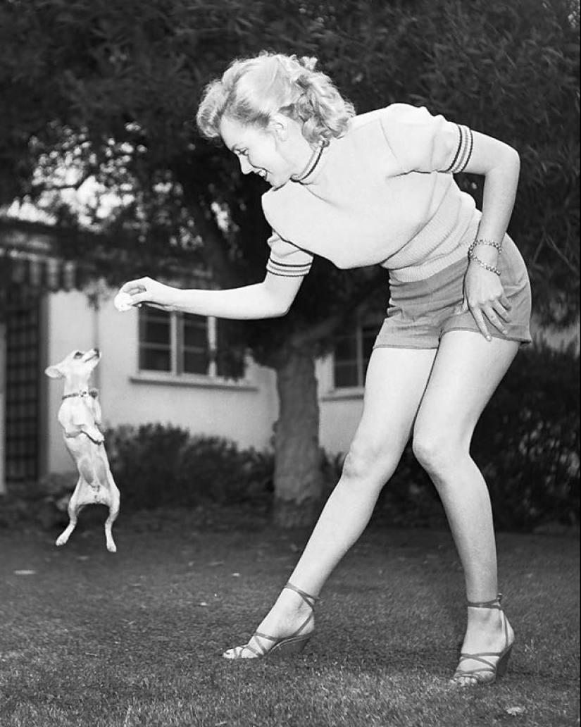 Celebrities with their four-legged pets