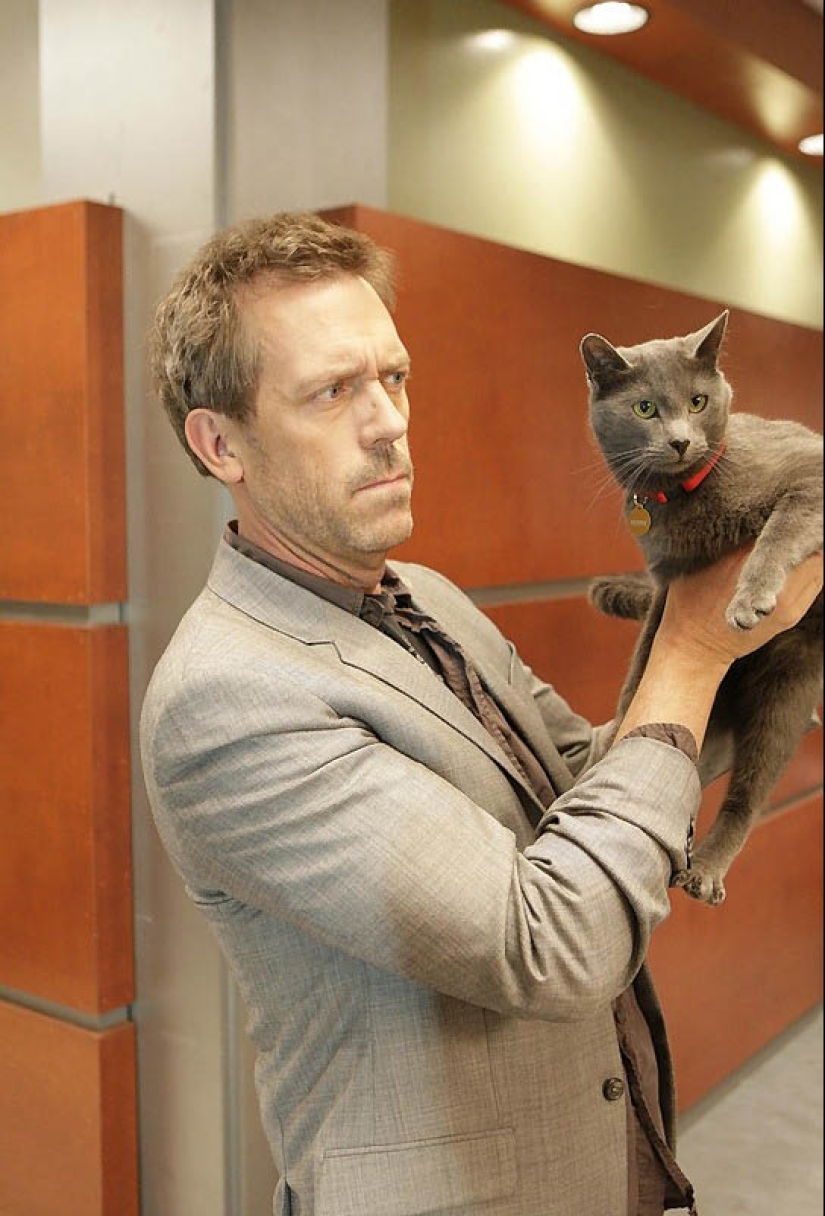 Celebrities with their four-legged pets