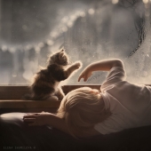 Charming photos proving that your child needs a cat