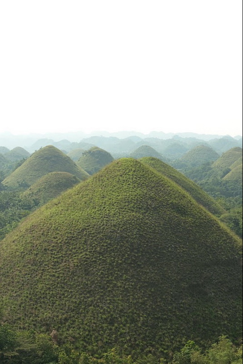 Chocolate Hills of Bohol Island Chocolate Hills of Bohol Island