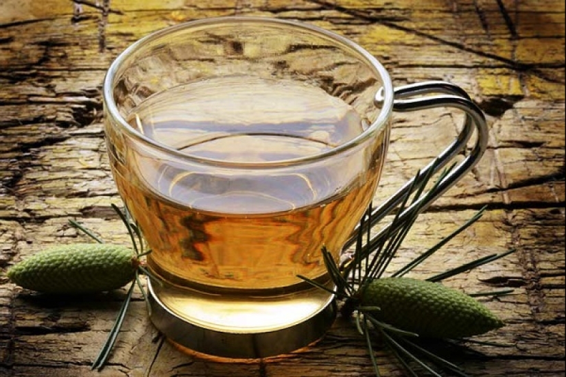 Christmas life hacks: 4 ways to use pine needles showered