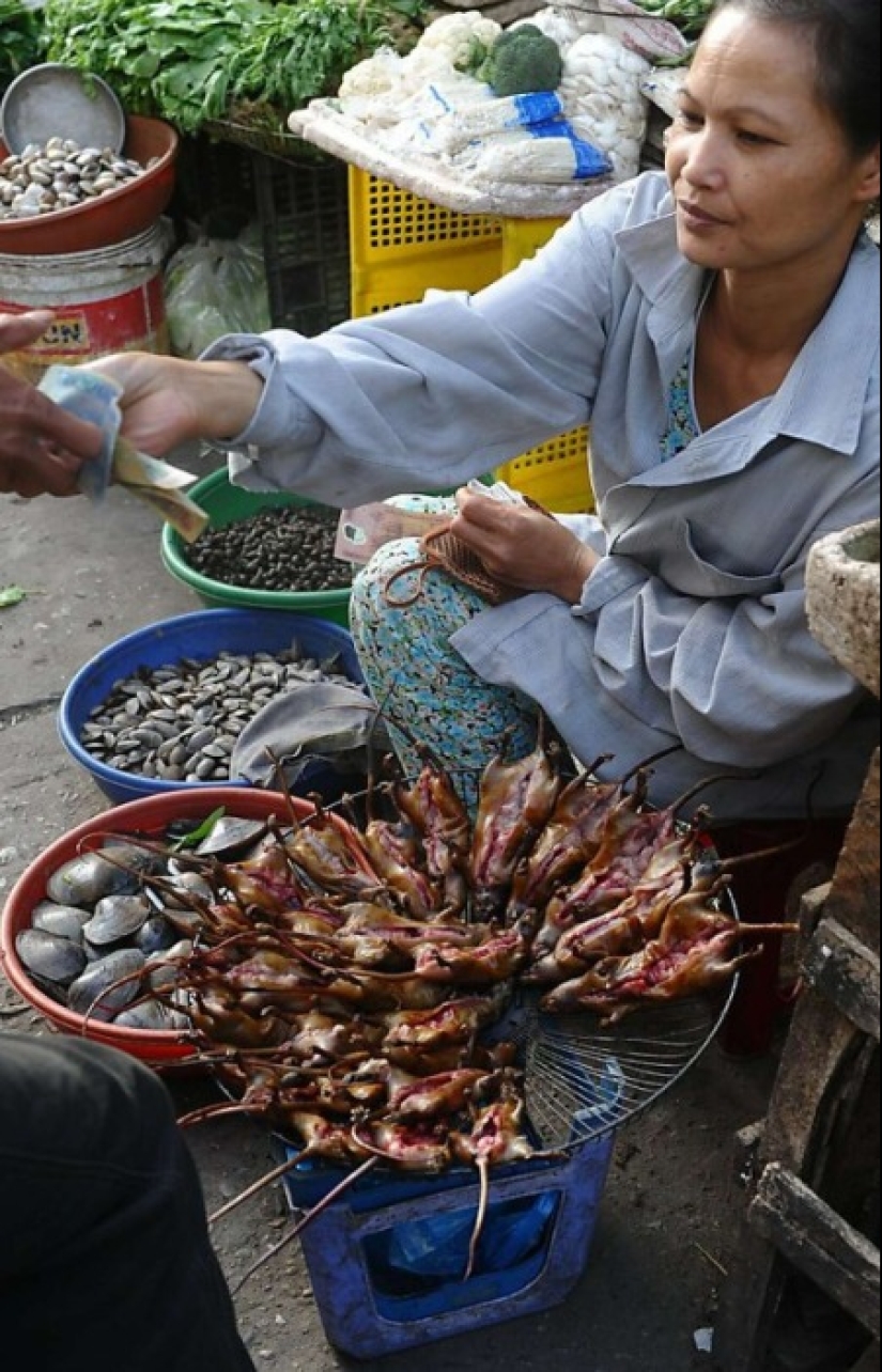 "Ciervo doméstico" o cómo los platos de rata se convirtieron en parte de la gastronomía nacional en diferentes partes del mundo "Ciervo doméstico" o cómo los platos de rata se convirtieron en parte de la gastronomía nacional en diferentes partes del mundo