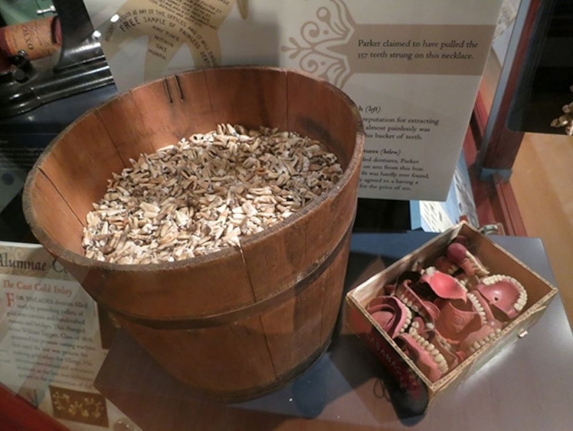 Circo dental loco del Dr. Edgar Parker Circo dental loco del Dr. Edgar Parker