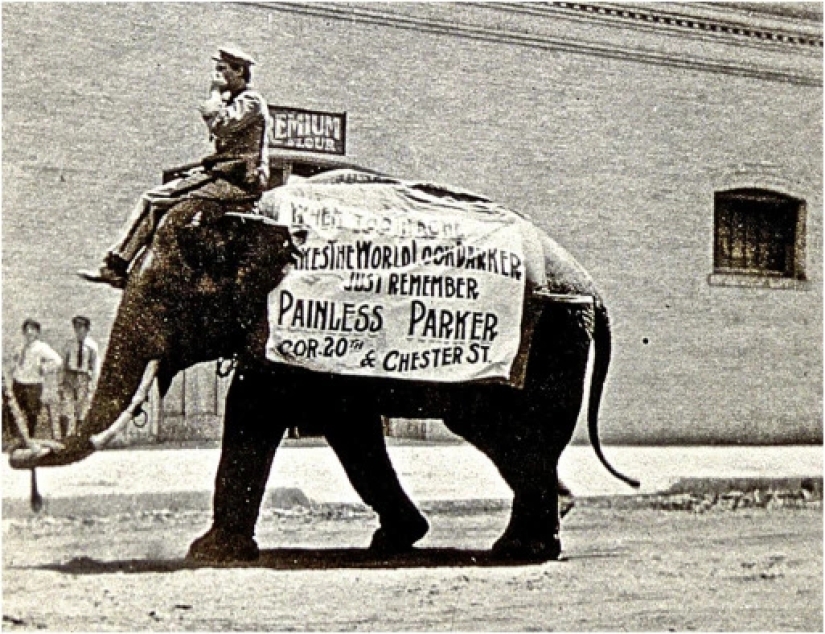 Circo dental loco del Dr. Edgar Parker Circo dental loco del Dr. Edgar Parker