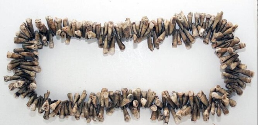 Circo dental loco del Dr. Edgar Parker Circo dental loco del Dr. Edgar Parker