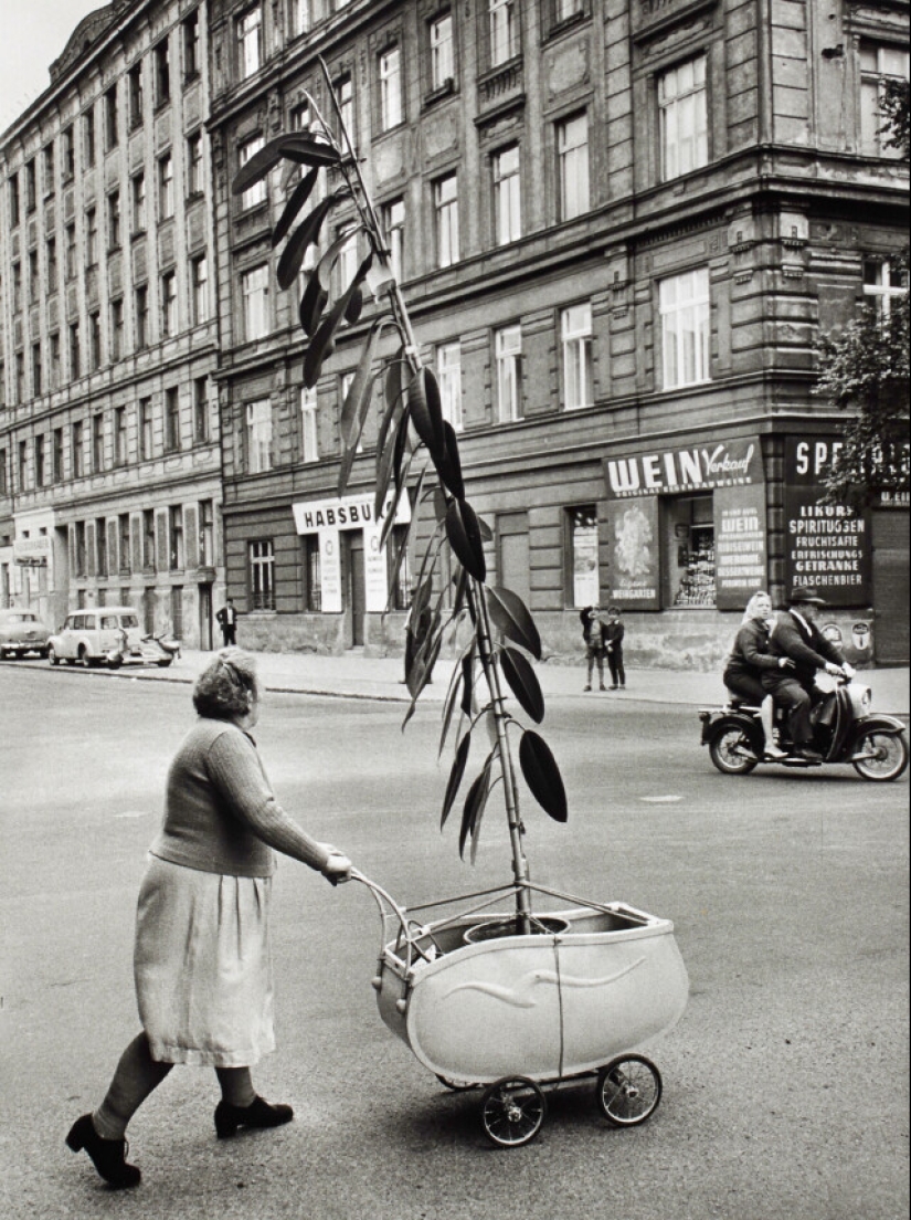 Ciudad, café y gente: Franz Hubmann y sus fotografías que marcaron época Ciudad, café y gente: Franz Hubmann y sus fotografías que marcaron época