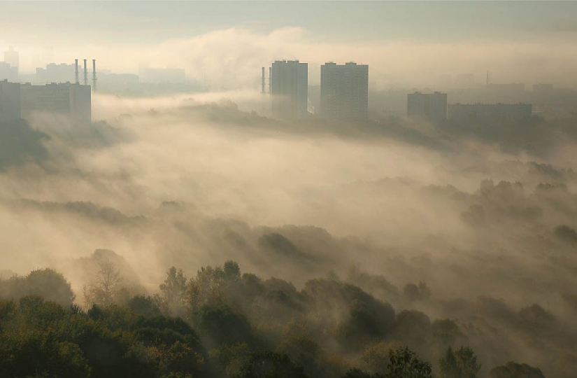 Ciudades envueltas en niebla Ciudades envueltas en niebla