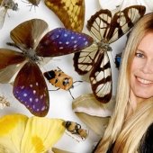 Claudia Schiffer's Insect Collection and 14 more secret celebrity hobbies Claudia Schiffer's Insect Collection and 14 more secret celebrity hobbies