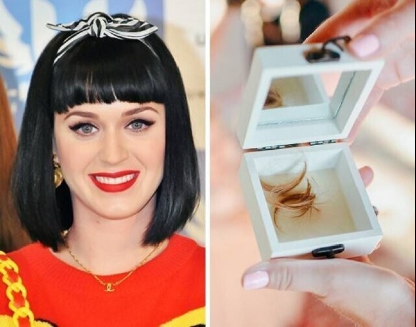 Claudia Schiffer's Insect Collection and 14 more secret celebrity hobbies
