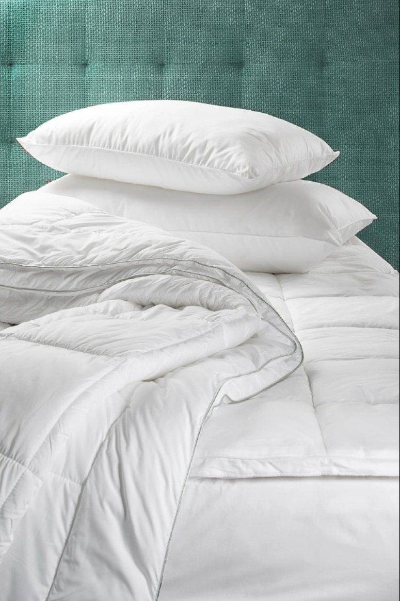 Cleanliness is the key to health: 10 tips on how to prevent diseases due to dirt in the house Cleanliness is the key to health: 10 tips on how to prevent diseases due to dirt in the house