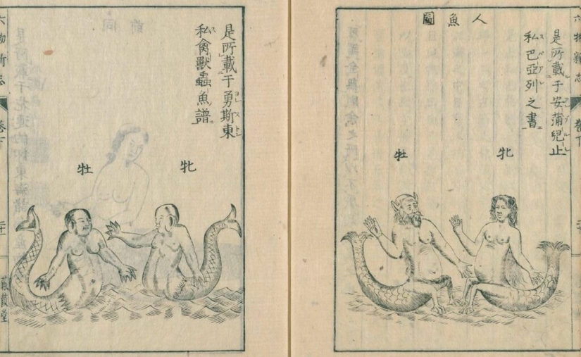 Cómo apareció el culto a las sirenas "ningyo" en Japón y por qué sus momias son tan valoradas
