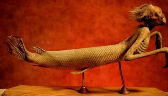 Cómo apareció el culto a las sirenas "ningyo" en Japón y por qué sus momias son tan valoradas Cómo apareció el culto a las sirenas "ningyo" en Japón y por qué sus momias son tan valoradas