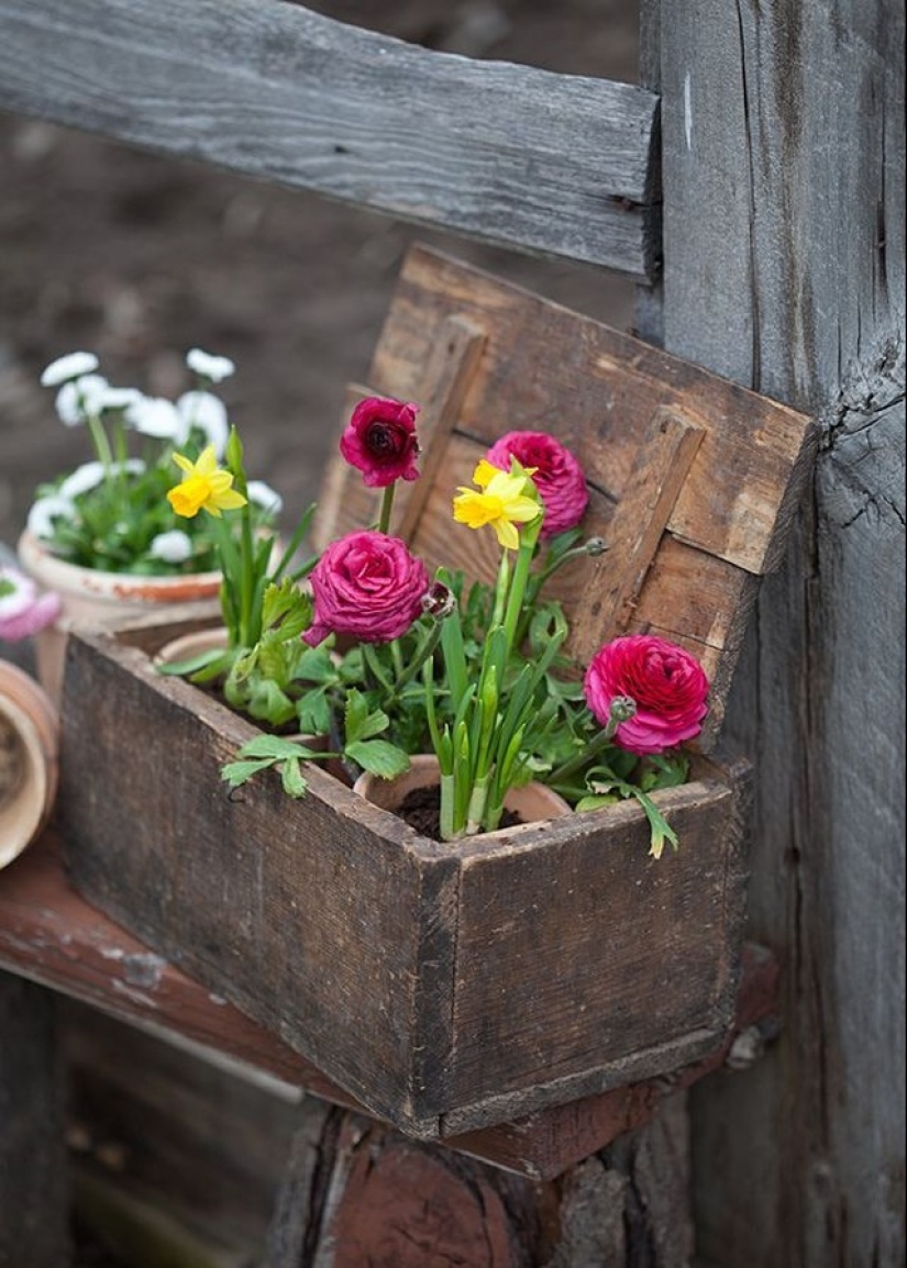 Cómo crear un macizo de flores hermoso e inusual a partir de materiales improvisados: 20 ejemplos Cómo crear un macizo de flores hermoso e inusual a partir de materiales improvisados: 20 ejemplos