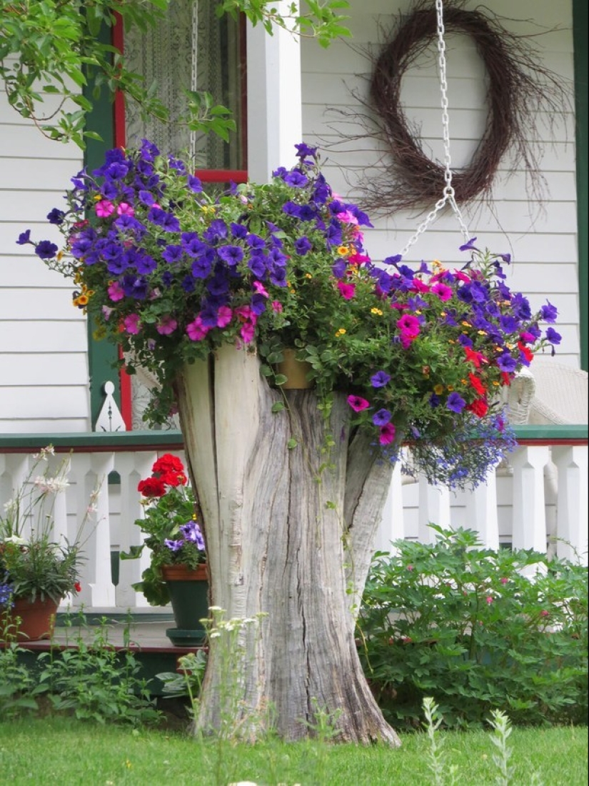 Cómo crear un macizo de flores hermoso e inusual a partir de materiales improvisados: 20 ejemplos Cómo crear un macizo de flores hermoso e inusual a partir de materiales improvisados: 20 ejemplos
