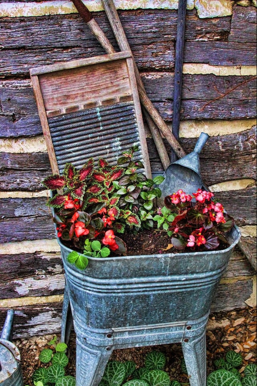 Cómo crear un macizo de flores hermoso e inusual a partir de materiales improvisados: 20 ejemplos Cómo crear un macizo de flores hermoso e inusual a partir de materiales improvisados: 20 ejemplos