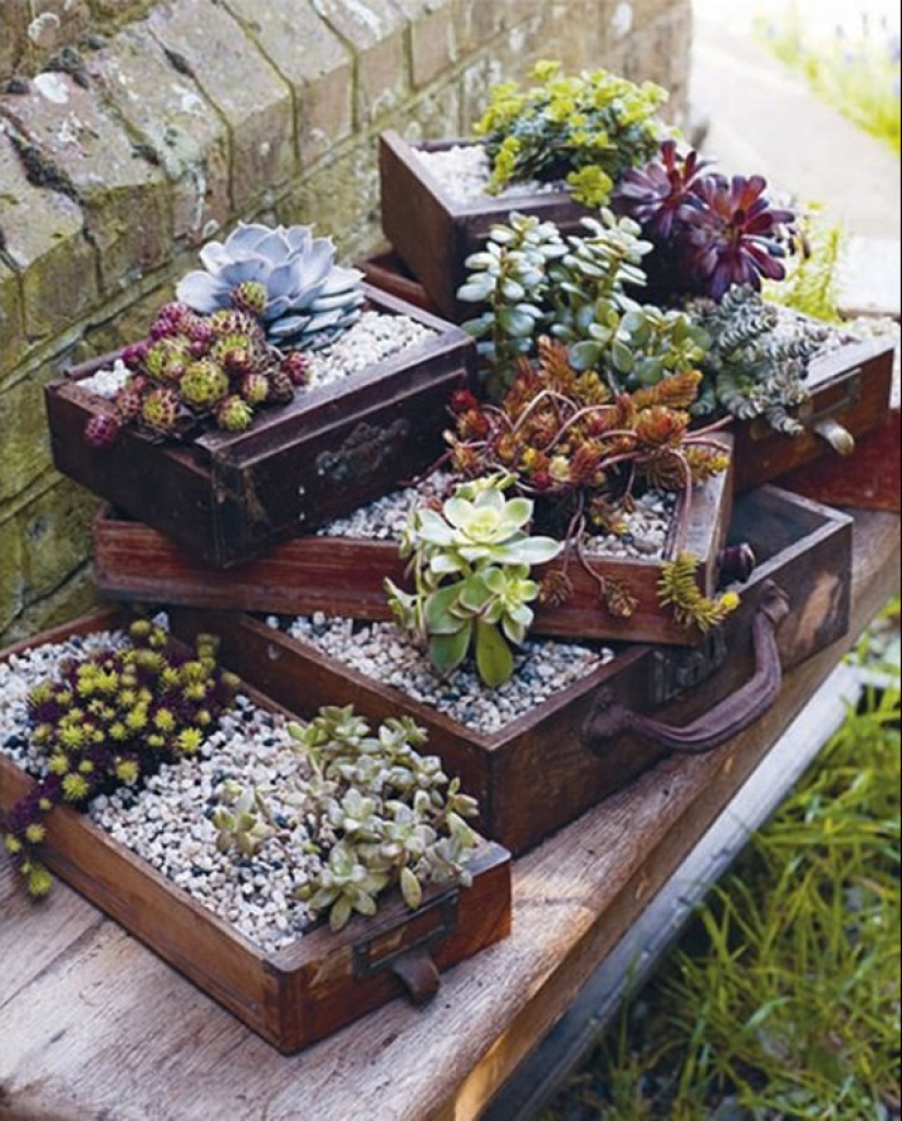 Cómo crear un macizo de flores hermoso e inusual a partir de materiales improvisados: 20 ejemplos Cómo crear un macizo de flores hermoso e inusual a partir de materiales improvisados: 20 ejemplos