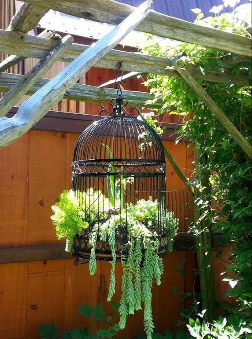 Cómo crear un macizo de flores hermoso e inusual a partir de materiales improvisados: 20 ejemplos Cómo crear un macizo de flores hermoso e inusual a partir de materiales improvisados: 20 ejemplos
