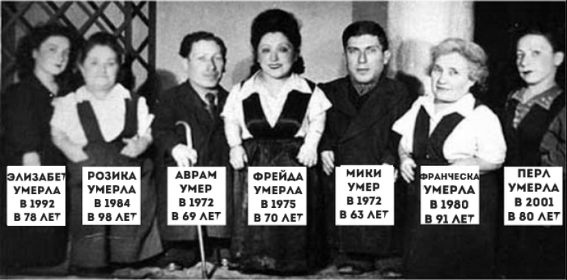 Cómo el enanismo ayudó a una familia de músicos judíos Ovitz a sobrevivir a los experimentos en Auschwitz Cómo el enanismo ayudó a una familia de músicos judíos Ovitz a sobrevivir a los experimentos en Auschwitz