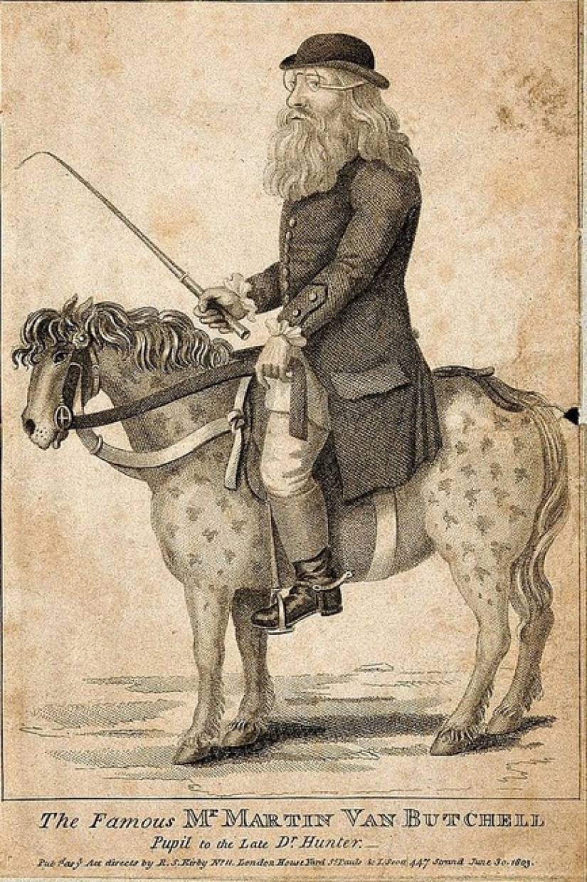 Cómo el excéntrico dentista Martin Van Batchell vivió con la mamá de su esposa Cómo el excéntrico dentista Martin Van Batchell vivió con la mamá de su esposa