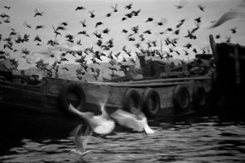 Cómo el fotógrafo Ara Guler mostró al mundo el corazón de Estambul y su dolor