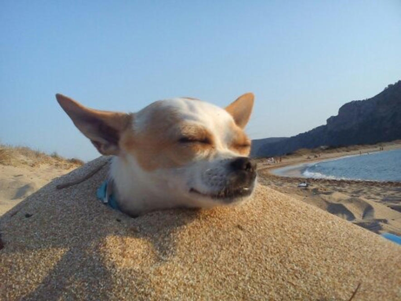 Cómo entretener a ti mismo en la playa? Antes de que la diversión no puede resistirse a nadie