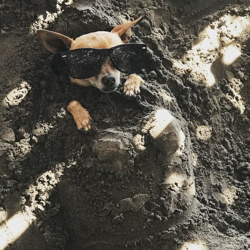 Cómo entretener a ti mismo en la playa? Antes de que la diversión no puede resistirse a nadie