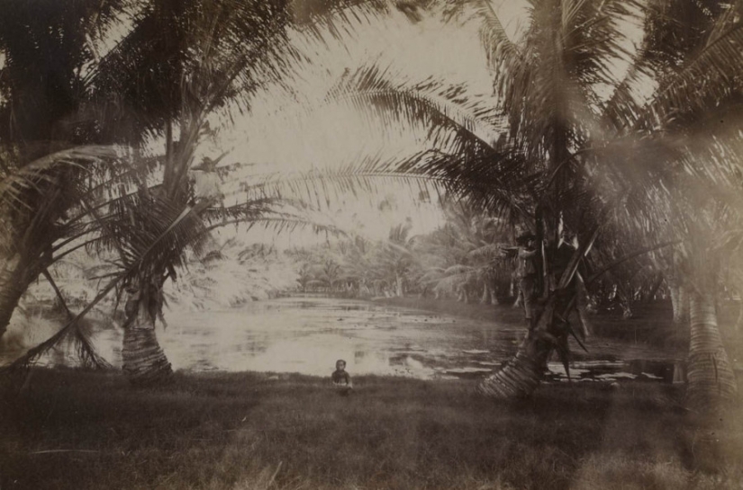 Cómo era la gente de Hawai en el siglo XIX Cómo era la gente de Hawai en el siglo XIX