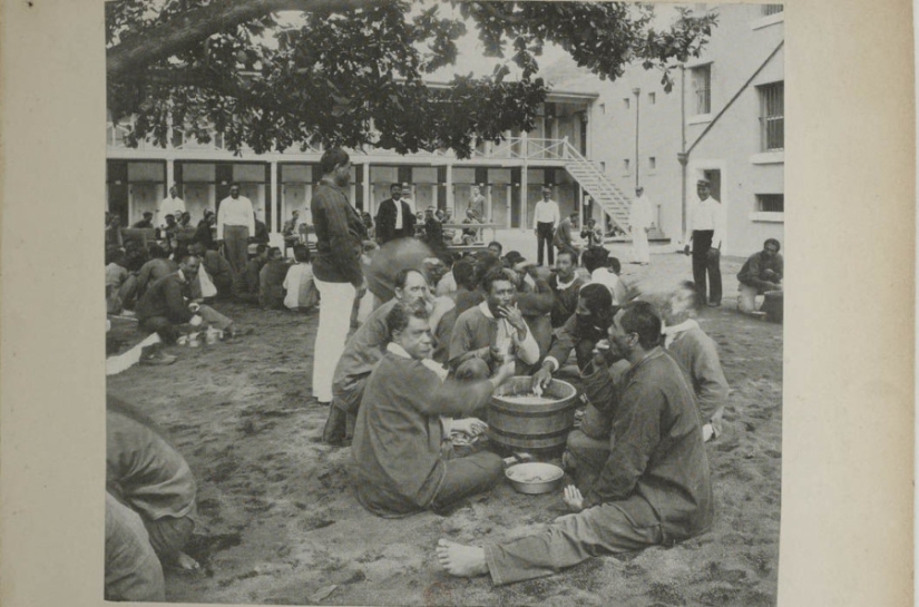 Cómo era la gente de Hawai en el siglo XIX Cómo era la gente de Hawai en el siglo XIX