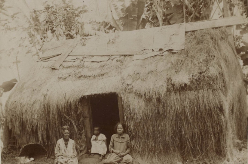 Cómo era la gente de Hawai en el siglo XIX Cómo era la gente de Hawai en el siglo XIX